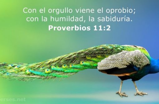 Mensaje sobre el Orgullo