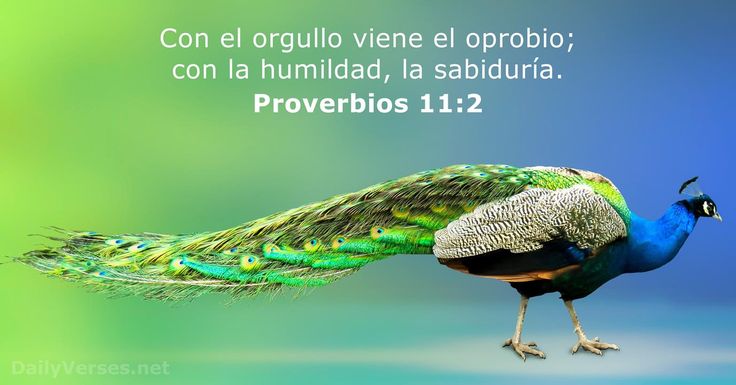 Mensaje sobre el Orgullo